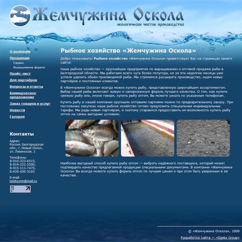 Создание сайта для рыбных хозяйств